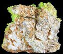 Pyromorphite Crystal Cluster - China #63686-2
